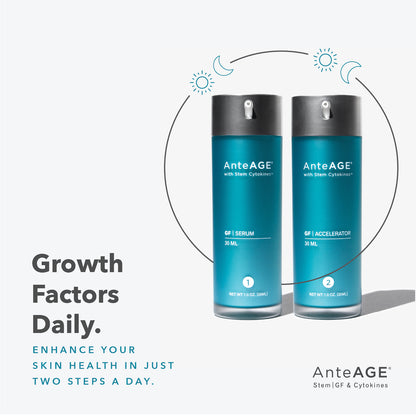 AnteAGE | Accelerator