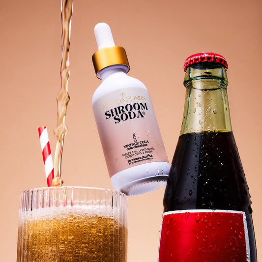 Ananda Elixirs Shroom Soda | Vintage Cola