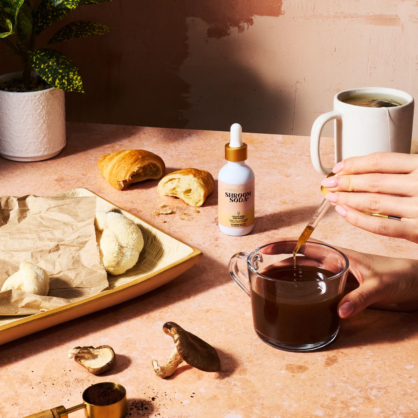 Ananda Elixirs Shroom Soda | Cream Soda