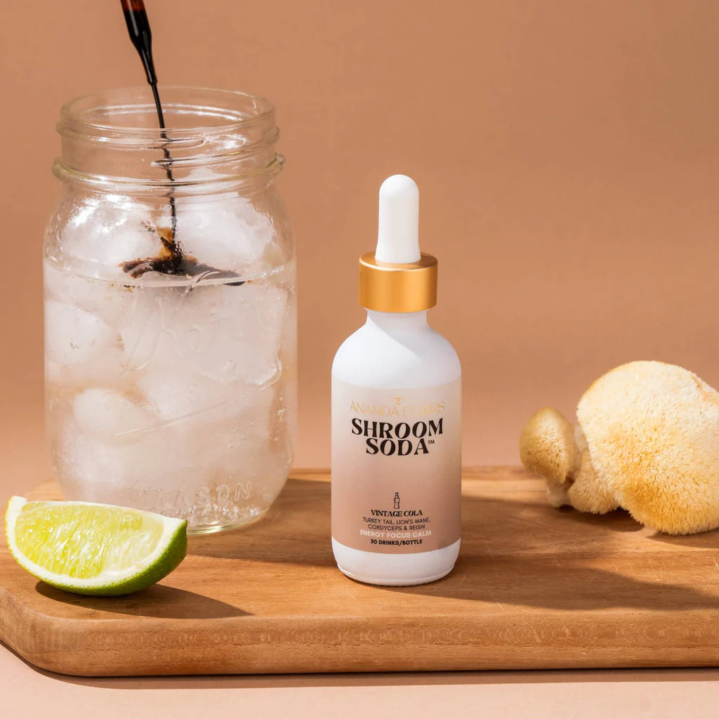 Ananda Elixirs Shroom Soda | Vintage Cola