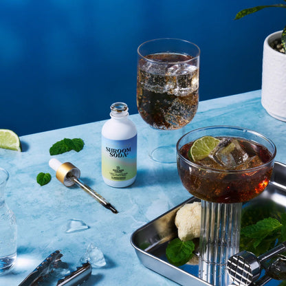 Ananda Elixirs Shroom Soda | Root Beer