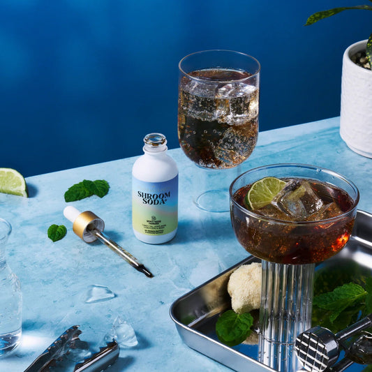 Ananda Elixirs Shroom Soda | Root Beer